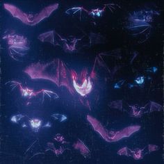 a group of bats in the dark with glowing eyes