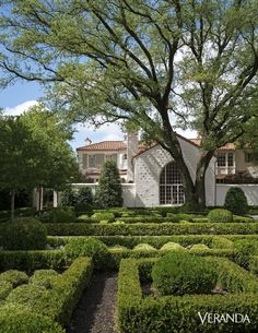 a large white house surrounded by hedges and trees