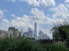 the city skyline is seen through tall grass