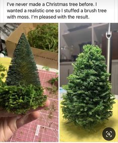 someone is trying to make a fake christmas tree out of real trees, and it's so cute