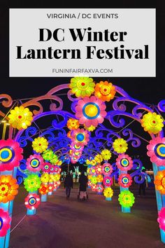 the entrance to dc winter lantern festival at night with colorful lights and flowers on it