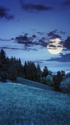 the full moon shines brightly in the night sky over a grassy field with trees