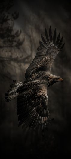 an eagle flying through the air with it's wings spread out in front of dark clouds