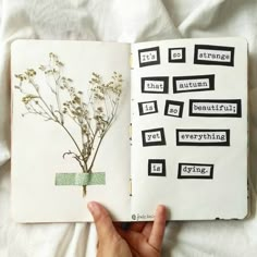 a hand holding an open book with writing on it and a plant in the middle