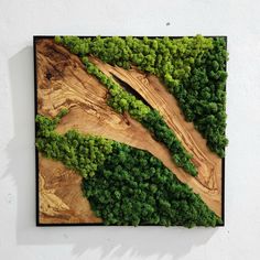 a piece of wood that is covered in green plants and trees on the side of a wall