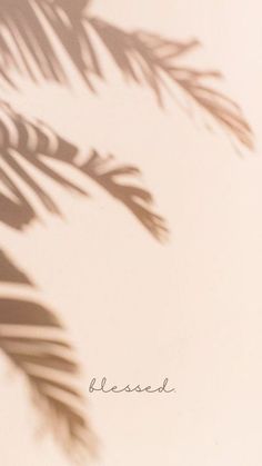 the shadow of a palm tree leaves on a white surface with words below it that say blessing