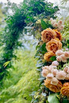 flowers are growing on the side of a tree in front of some bushes and trees