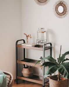 a shelf with some plants on top of it