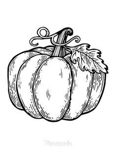 Pumpkin Engraving, Free Thanksgiving Coloring Pages, Pumpkin Coloring, Backpiece Tattoo, Turkey Coloring Pages, Fall Drawings, Pumpkin Drawing, Pumpkin Images