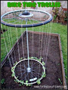 an upside down bike tire trellis in the garden with text overlay that reads, how to make a bicycle tire trellis