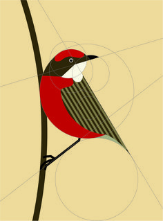 a red and black bird sitting on top of a tree branch with circles around it