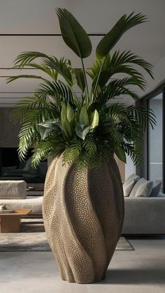 a large potted plant sitting in the middle of a living room