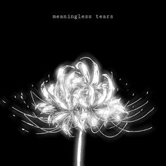 a black and white photo of a flower with the words meningless tears on it