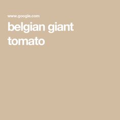 an image of a white text on a tan background that says, belgium giant tomato