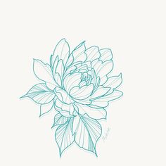 a drawing of a flower on a white background