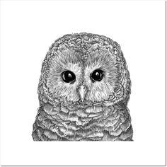 an owl with big eyes is shown in this black and white drawing by artist mark stewart