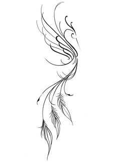 a black and white drawing of a bird with long feathers on it's tail