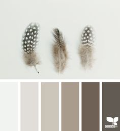 the color scheme is neutral and gray with white dots on it, along with three different feathers