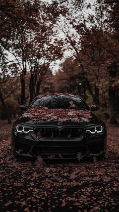 a black car parked on top of a leaf covered road next to trees and leaves