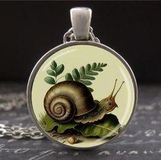 Snail Pendant Woodland Vintage Art Forest Fern Terrarium Necklace Silver Jewelry | eBay Fern Terrarium, Snail Pendant, Forest Fern, Forest Jewelry, Terrarium Necklace, Art Forest, Necklace Silver, Fern, Terrarium