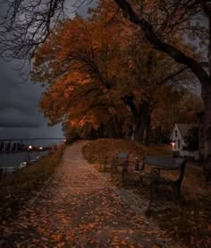 two park benches sitting next to each other on a leaf covered path near the water