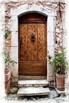 an old wooden door in front of a stone building with potted plants on either side