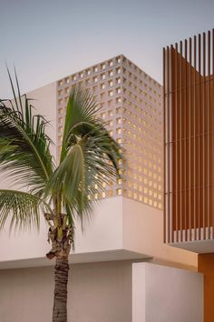 a palm tree in front of a building with wooden slats on the facade and side