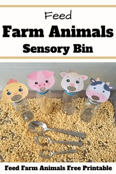 Pin text reads, feed farm animals sensory bin feed farm animals free printable, image is of a sensory bin filled with cereal and 4 plastic bottles with animal faces stuck on and 3 spoons of different sizes to practice feeding animals. Farm Theme Sensory Bin, Farm Animal Activity Preschool, Easy Toddler Sensory Activities, Free Sensory Activities, Farm Sensory Activities Preschool, Preschool Farm Sensory Bin, Farm Craft Activities, Farm Animal Arts And Crafts, Animal Week Preschool Activities