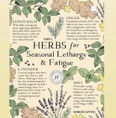 the front cover of herbs for seasonal lethary and fatigue by lemon balm