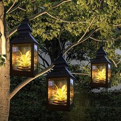 three lanterns hanging from a tree with leaves glowing in the light at night, on top of them