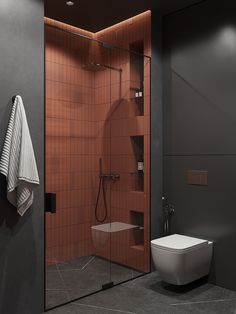 a bathroom with a toilet, shower and stand up shower stall in the middle of it