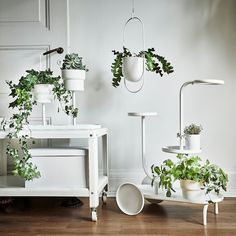 several potted plants are hanging on the wall next to a table with two chairs