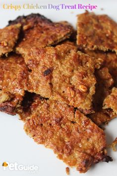 easy chicken treat recipe Easy Chicken Dog Treats, Chicken Dog Treats Recipes, Chicken Jerky For Dogs, Dehydrator Dog Treats, Baby Treats, Kitty Treats, Soft Dog Treats, Chicken Dog Treats, Pet Snacks