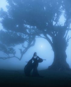 a woman standing in front of a tree on a foggy day with her arms outstretched