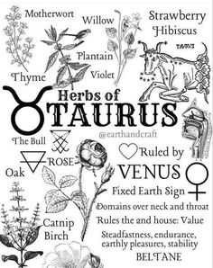 the zodiac sign for taurus with flowers and other astrological symbols in black and white