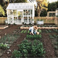 a man kneeling down in the middle of a garden