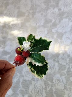 Holly Hair Pinholly Leaves and Berriesvariegated Holly - Etsy Christmas Hair Clip, Holly Leaves And Berries, Autumn Bride, Bridesmaid Hair Makeup, Holiday Hair, Purple Pansy, Hair Wreaths, Pansies Flowers, Holly Leaves