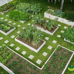 an aerial view of a vegetable garden in the middle of a yard with lots of green plants