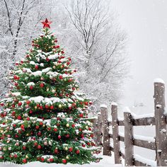 a christmas tree is in the snow near a fence