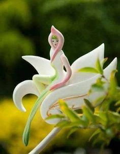 a small figurine sitting on top of a white flower in front of trees