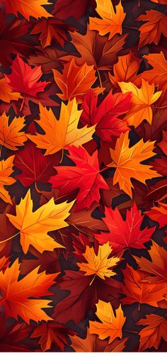 many different colored leaves on a black background