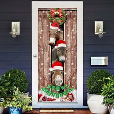 two donkeys wearing christmas hats standing in front of a door decorated with holly wreaths