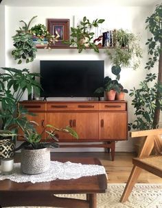 a living room filled with lots of plants on top of a wooden table next to a flat screen tv