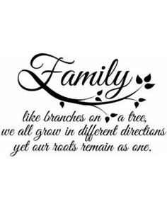 a family quote with the words like branches on a tree, we all grow in different directions