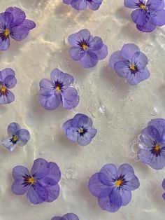 many purple flowers floating in water on top of a white surface with drops of water