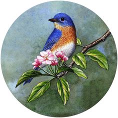 a painting of a blue bird sitting on a branch with pink flowers and green leaves