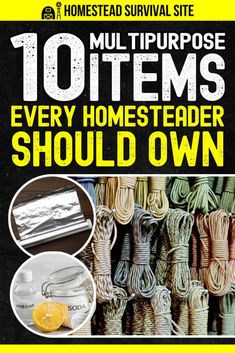 the book cover for 10 items every home - teacher should own, with an orange slice and