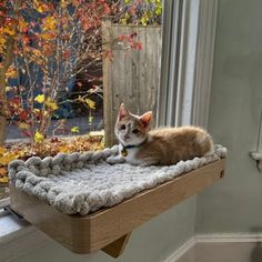 an orange and white cat laying on top of a window sill next to a tree