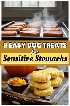 8 easy dog treats for sensitive stomachs