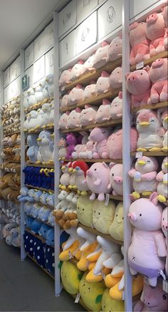 rows of stuffed animals are on display in the store's shelves, all lined up against each other